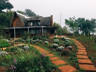 Chiêm ngưỡng 5 homestay nhà gỗ giữa rừng thông Đà Lạt