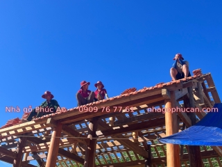 CÁC LOẠI GỖ NÀO ĐƯỢC CHỌN ĐỂ LÀM NHÀ GỖ HIỆN NAY?
